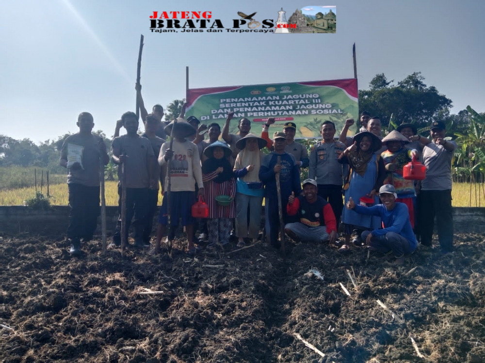 Polsek Godong Tanam Jagung Dukung Swasembada Pangan