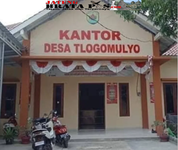 Merasa Paling Pintar Kades Tlogomulyo Diduga Pungut Kontribusi Warga Hajatan