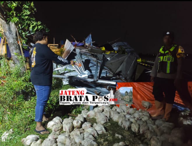 Puting Beliung Terjang Kabupaten Pati, Polisi Gerak Cepat Tangani Kerusakan 4 Kandang Ayam di Sukolilo